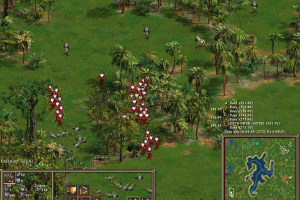 American Conquest 15