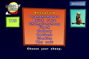 Championsheep Rally 0